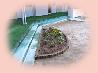 園庭−花壇